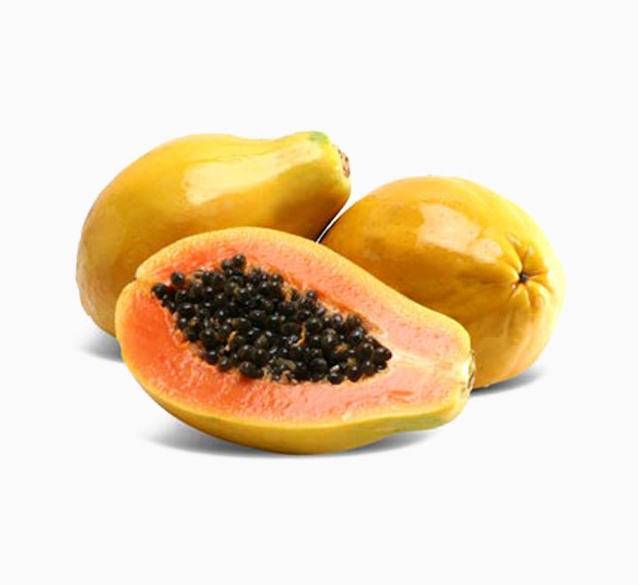 1.5m-Carica-papaya-_95-1-1.jpg Carica papaya or Papaya Tree (1.2m - 2.0m) شجرة البابايا - Image 1