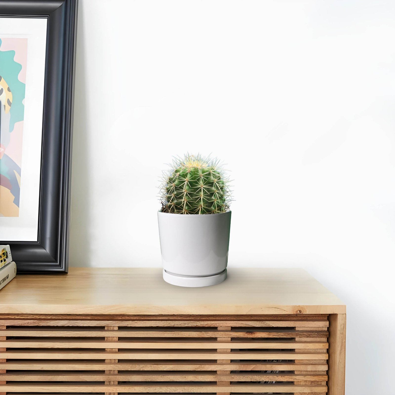 pixelcut-export_10_3a72d2ba-e1fb-4d6f-992c-2dae46338aef.jpg Barrel or Ball Cactus - Image 1
