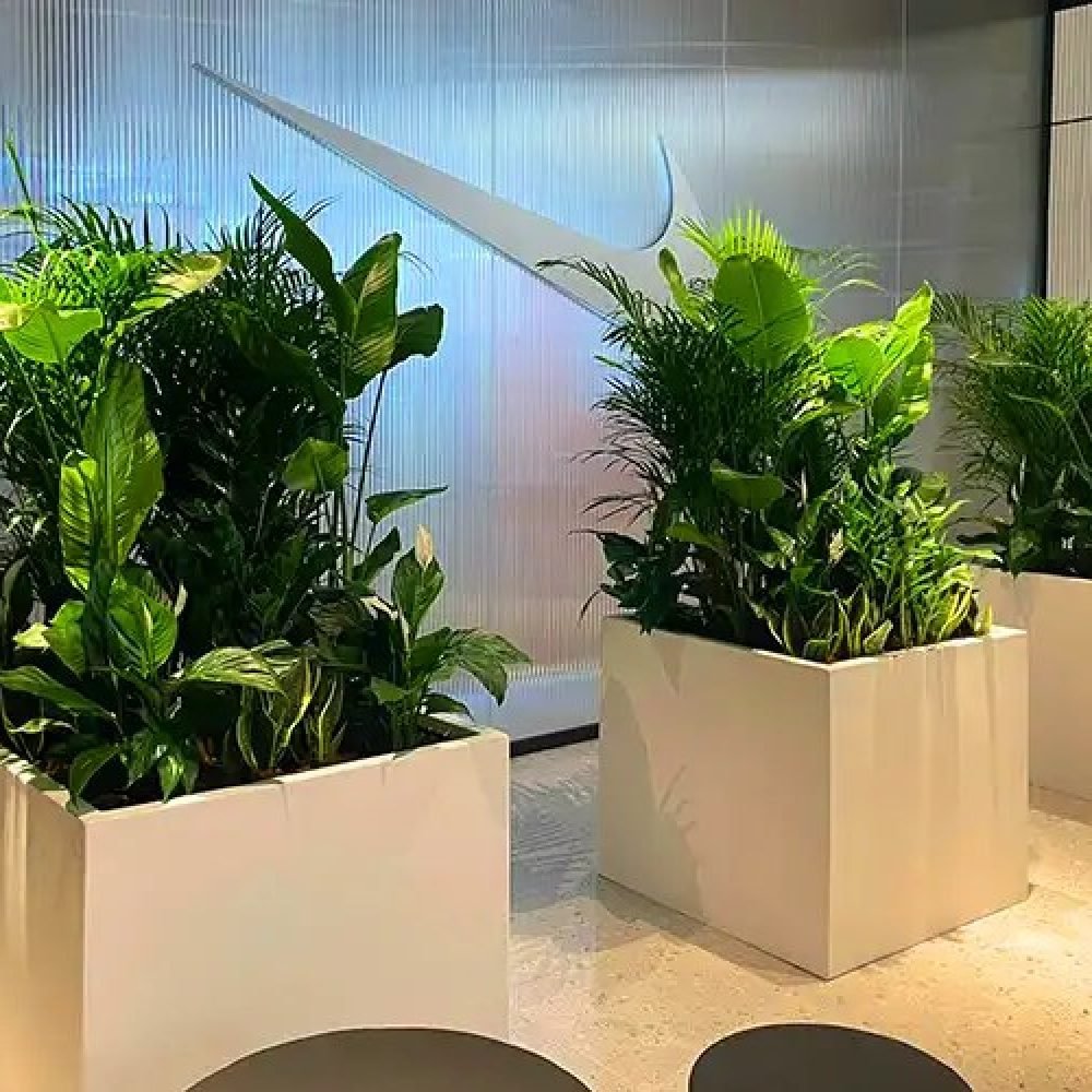 rentalplant (2)